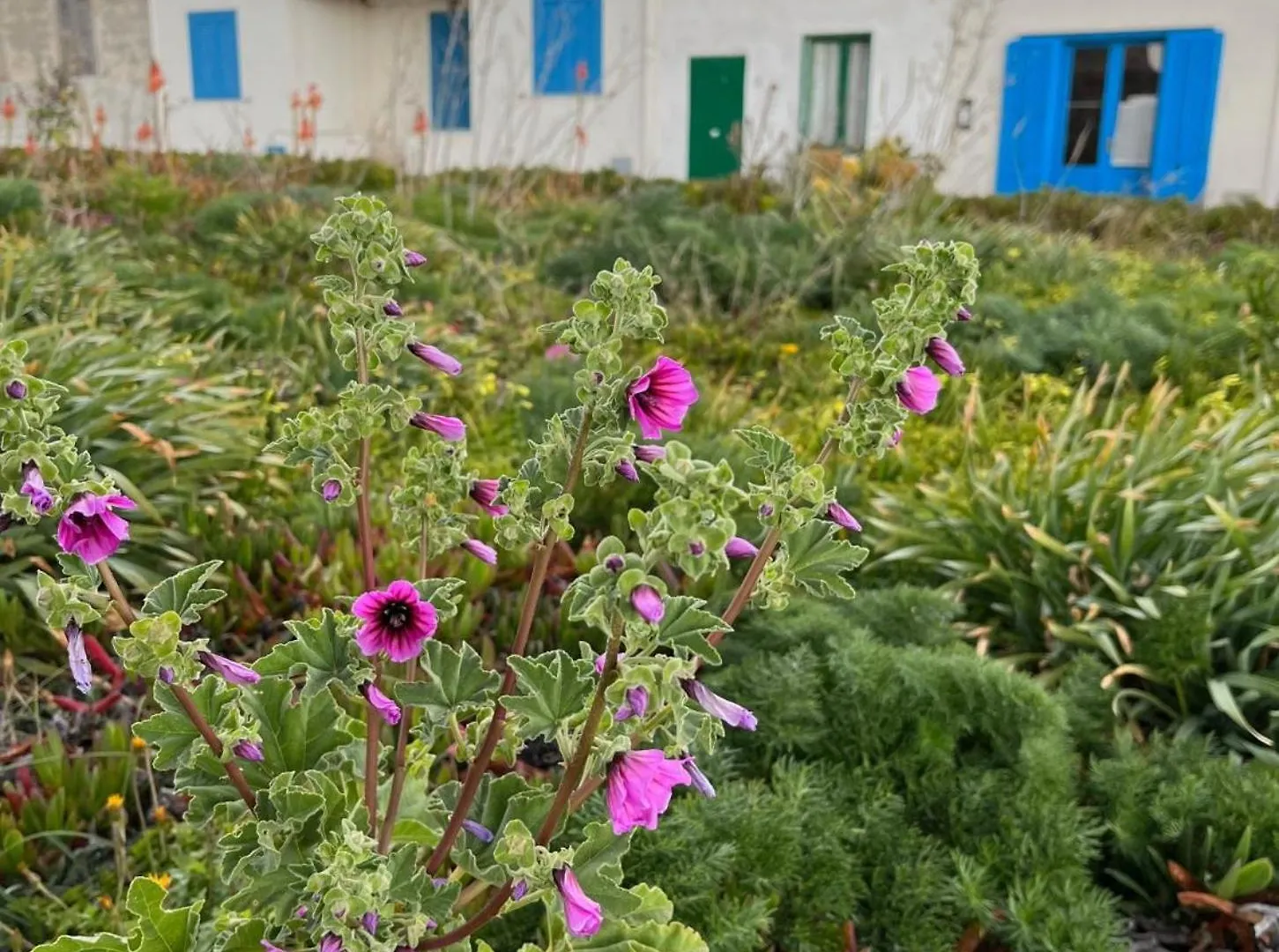 Casetta Favonia Isola Di Favignana Sicilia Italy