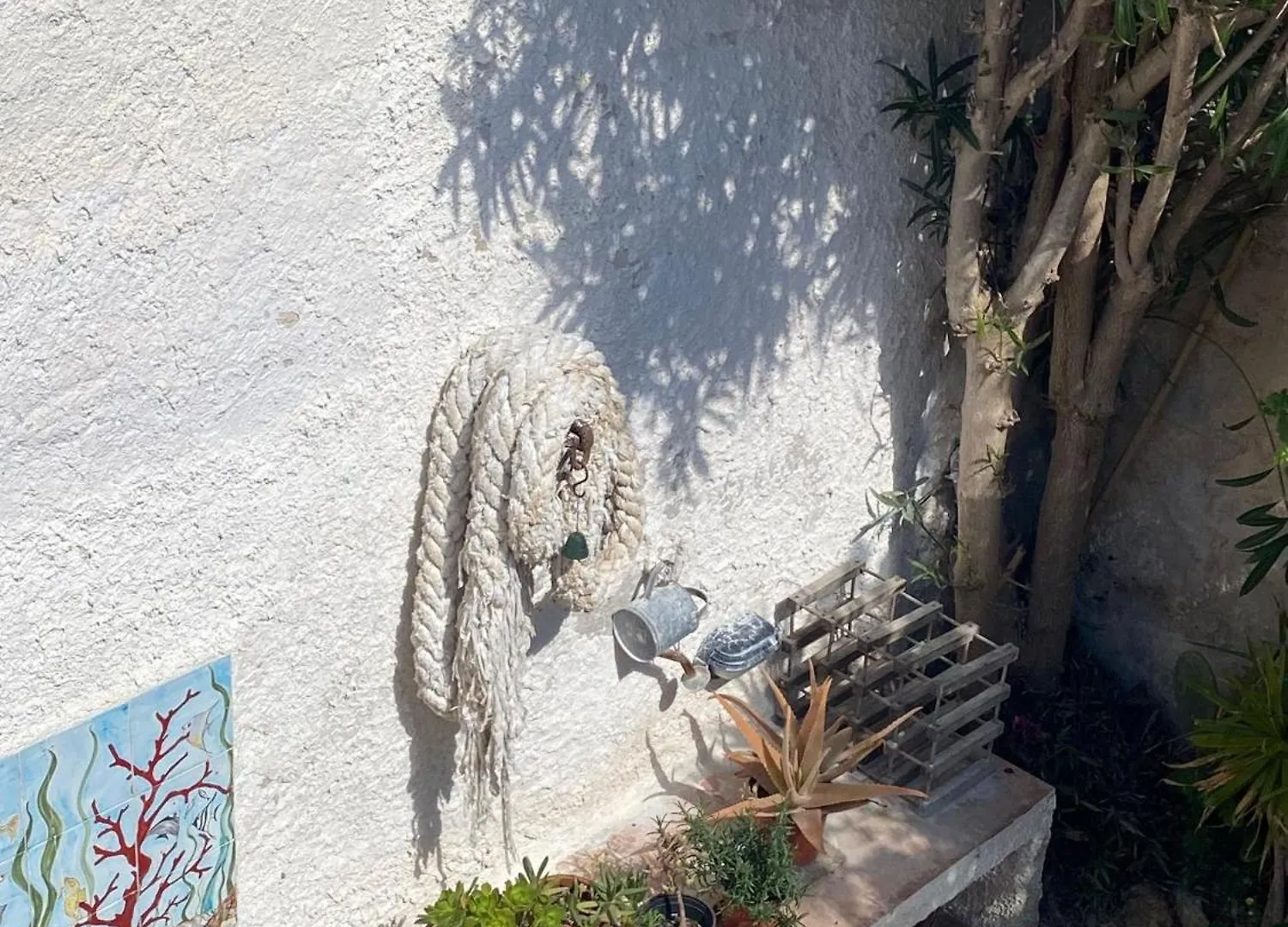 Apartment Casetta Favonia Isola Di Favignana Sicilia
